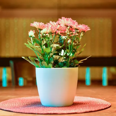 펜션 Buchholz Saloon Altlandsberg