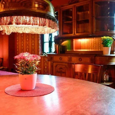 펜션 Buchholz Saloon