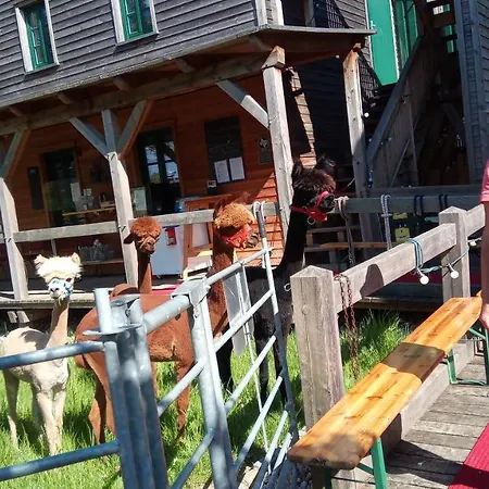 펜션 Buchholz Saloon