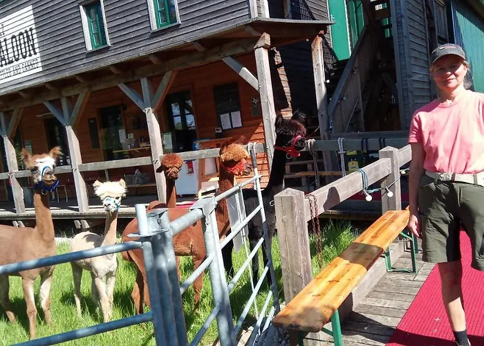 Сasa de vacaciones Buchholz Saloon